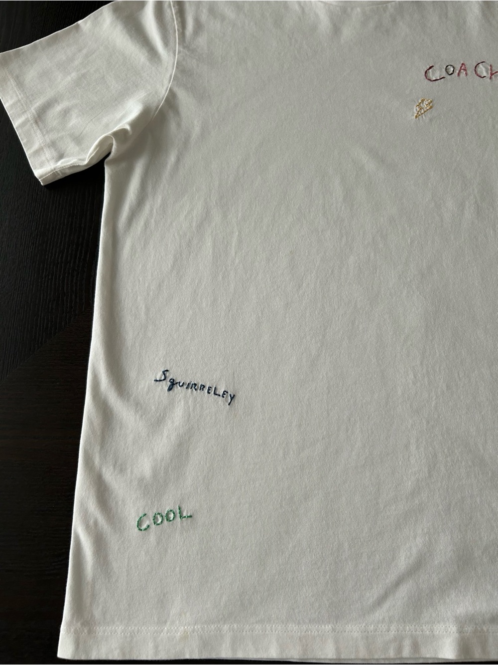 COACH DIARY SCRIPT T- SHIRT. SIZE LARGE - Picture 4 of 10